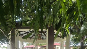 A covered outdoor seating area with tables and chairs, a hammock, and a view of buildings in the background. - Soothing 4-bedroom country house in Piedra Blanca (Piedra Blanca)
