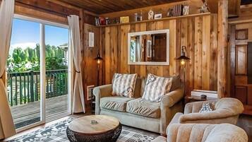 Smart TV, fireplace, DVD player, books