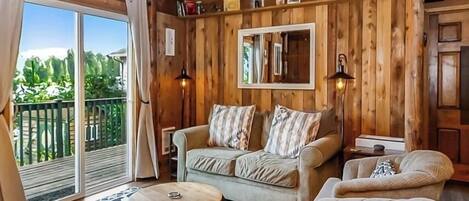 TV connectée, cheminée, lecteur de DVD, livres