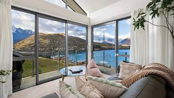 TV, fireplace, books