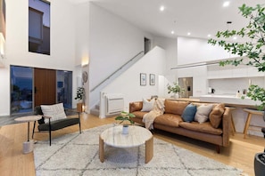 TV, fireplace, books