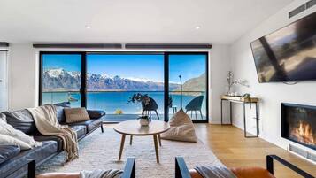 TV, fireplace, books