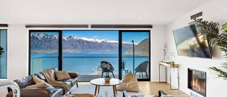 TV, fireplace, books