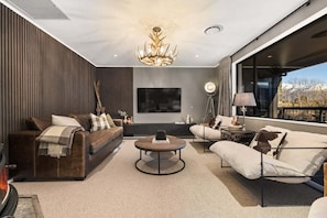 TV, fireplace, books