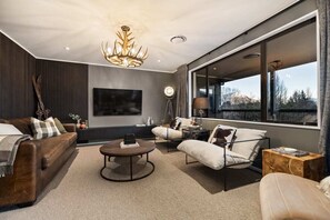 TV, fireplace, books