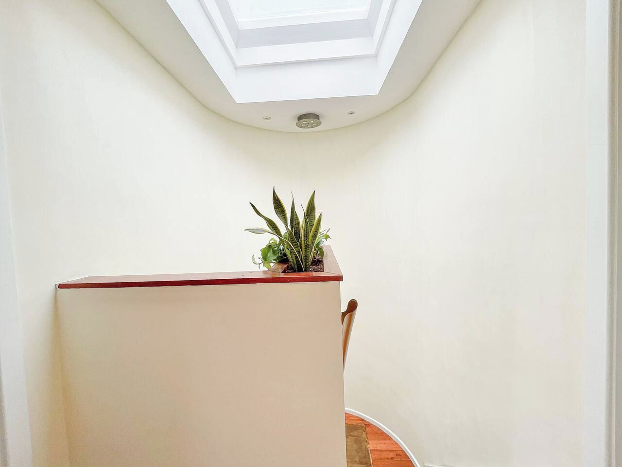 Ein Zimmer mit Oberlicht, einer Pflanze auf einem Tisch und einem Stuhl.