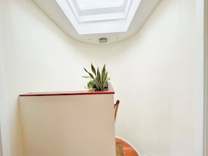 A room with a skylight, a plant on a table, and a chair.