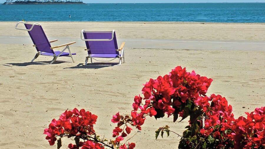 Belmont Shore Coastal Cottage - Cozy Home for 6 - 2 Blocks to Beach