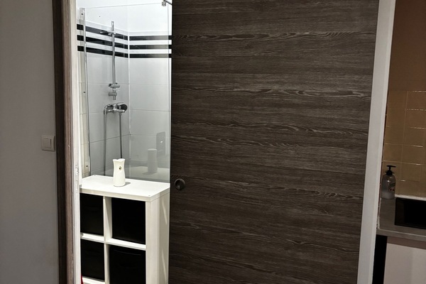Shower, hair dryer, soap, toilet paper
