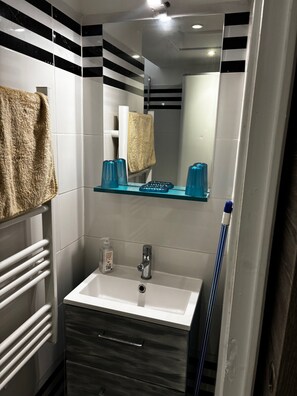 Shower, hair dryer, soap, toilet paper