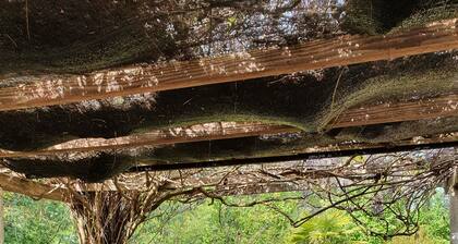 Duplex au calme dans la nature, proche de Pamiers
