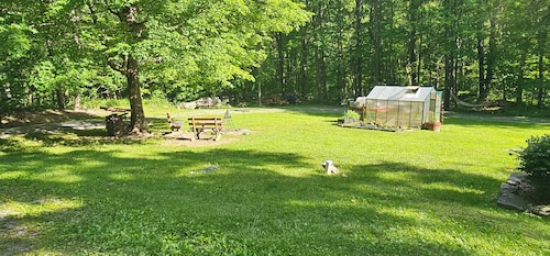 Wonderful camping experience in friendsville md