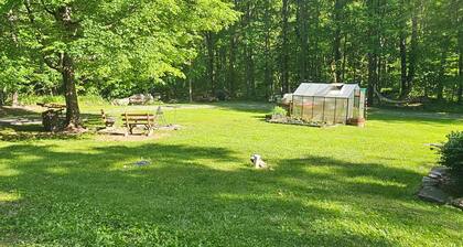 Wonderful camping experience in friendsville md