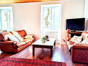 Televisión, chimenea, libros