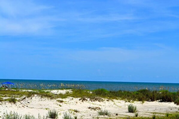 Chaises longues, serviettes de plage