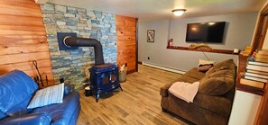 Smart TV, fireplace, books