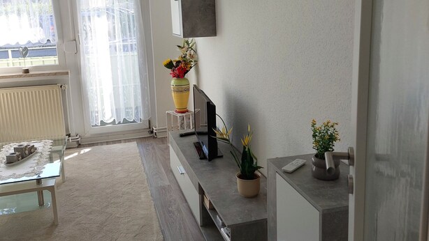 Un salon moderne avec une table basse en verre, un canapé, un téléviseur et des plantes décoratives.