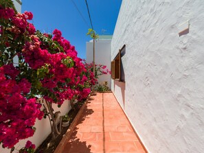 Exterior - Chalet in Agaete Near Playa del Juncal (Agaete)