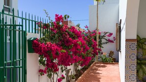 Exterior - Chalet in Agaete Near Playa del Juncal (Agaete)