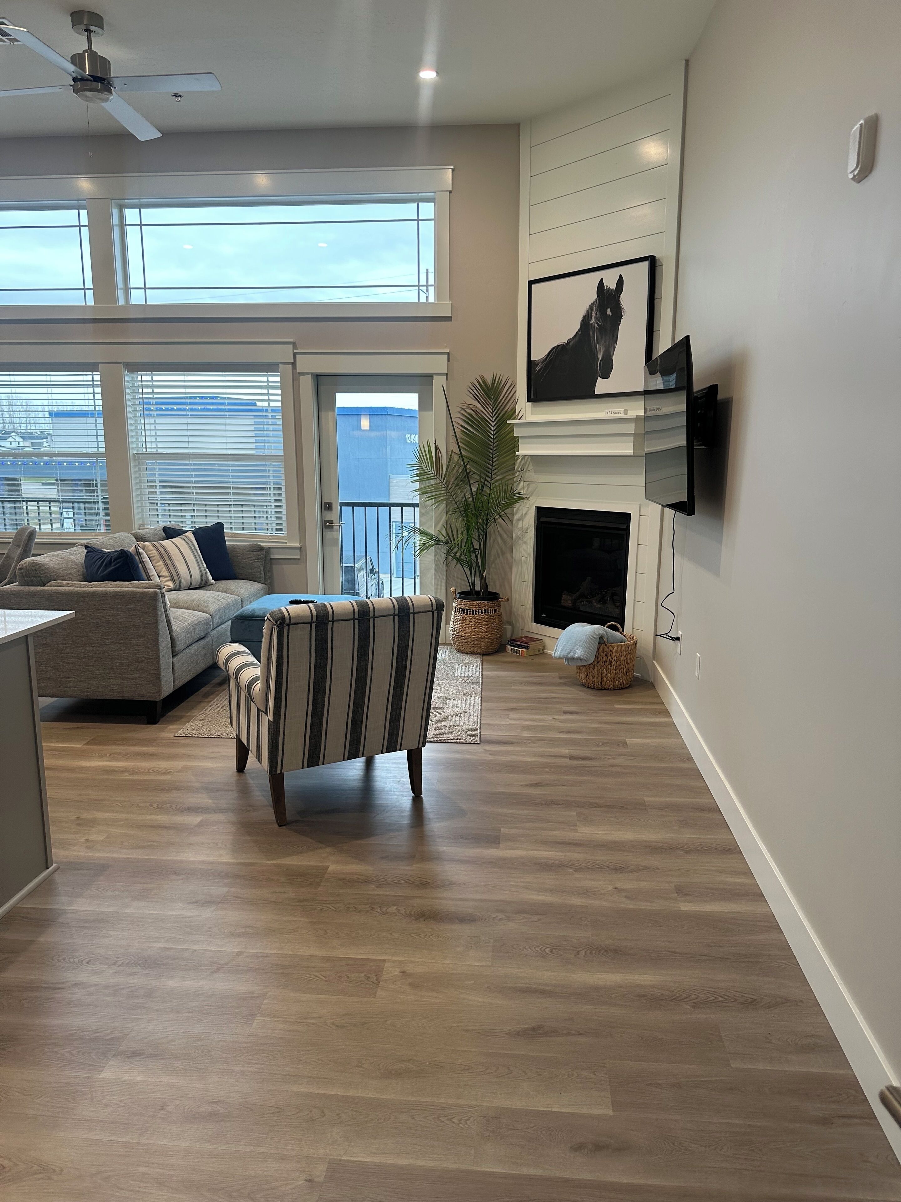 Smart TV, fireplace, books