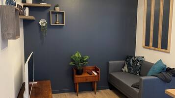 Älytelevisio, videopelejä, kirjoja