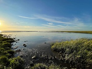 House | Water view
