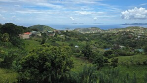 Un paysage côtier avec des bâtiments, de la végétation et une vue sur la mer.