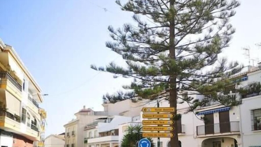 Apartamento Tropical by Bossh Apartments