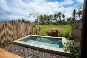 Outdoor pool - Kose Villa Ubud (Ubud)