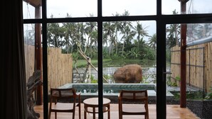 A view from a room with large windows overlooking a garden with a pond, bamboo fence, and palm trees. - Kose Villa Ubud (Ubud)