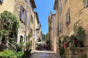 Una calle estrecha con edificios de piedra, plantas en macetas y un cielo azul despejado.
