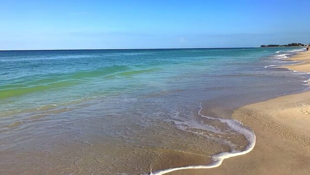 A beach with clear blue water and a sandy shore. - Foxtail Palm: Steps from the beach (Holmes Beach)