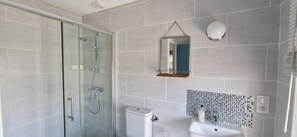 Shower, hair dryer, towels, toilet paper