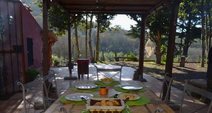 Cottage in Valleseco Near Doramas Park