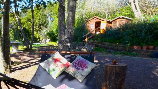 Unclassified image, 1 of 58, button - Cottage in Valleseco Near Doramas Park (Valleseco)