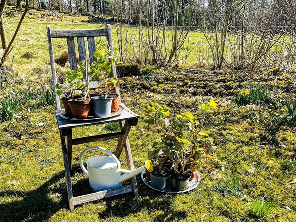 House | Property grounds