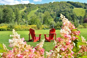 Àrea exterior de l'allotjament