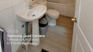 Une salle de bain avec un lavabo, des toilettes et une douche.