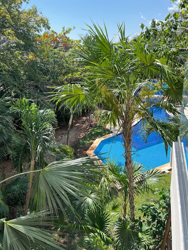View from property