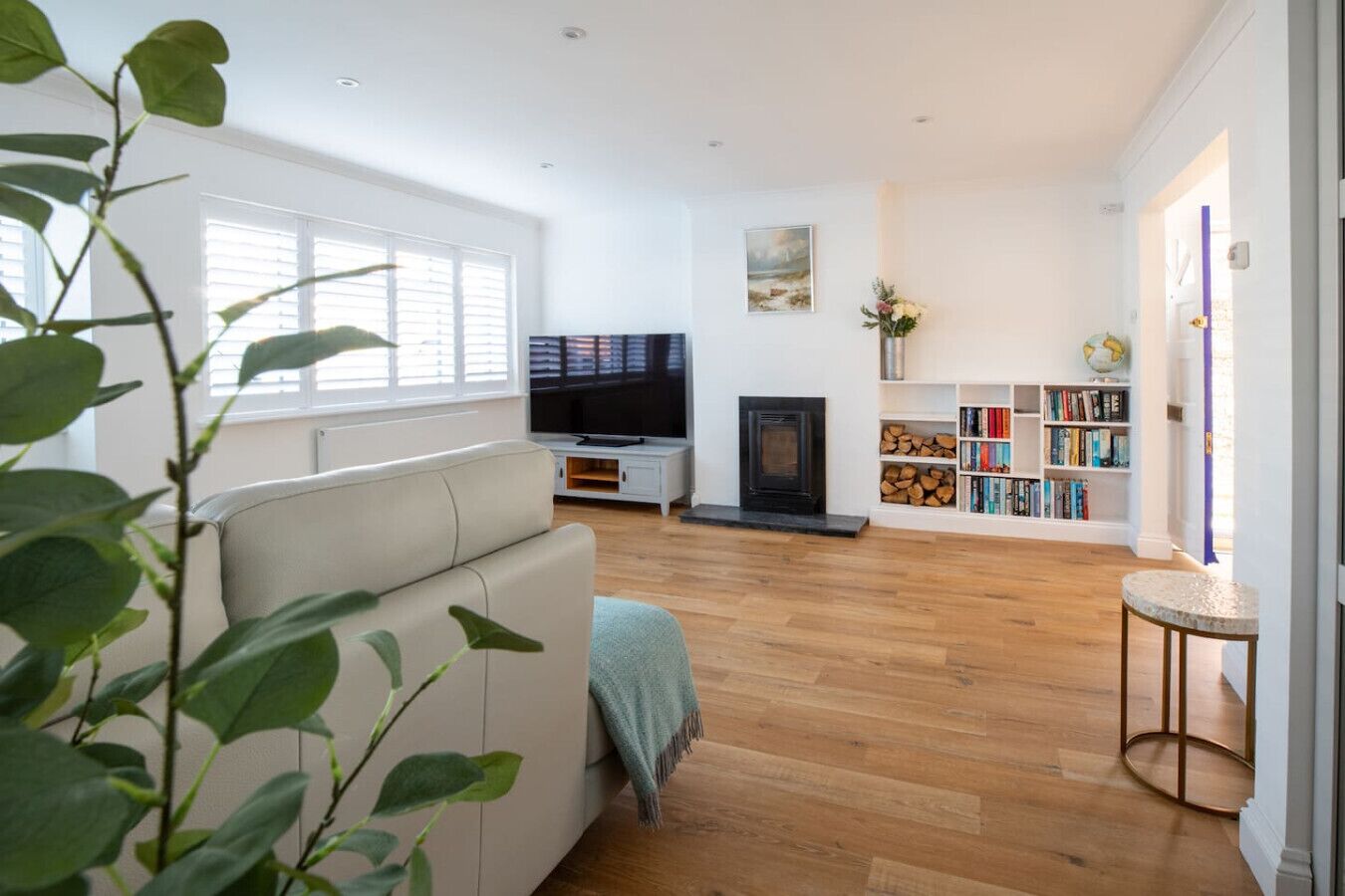 Smart TV, books