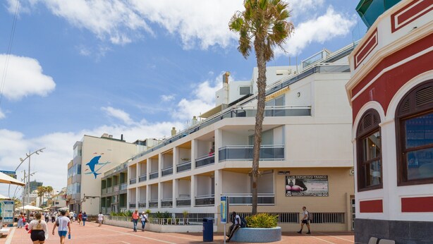 Un paseo peatonal con una palmera, asientos al aire libre y un edificio con balcones.