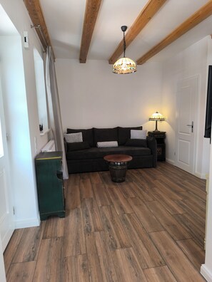 Smart TV, fireplace, books, stereo