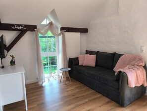 TV connectée, cheminée