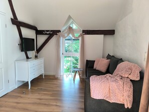 智能電視、壁爐、書籍、音響