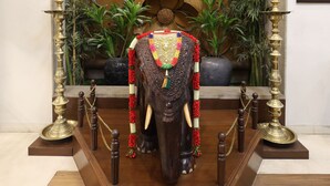 Una piattaforma di legno con una statua di elefante, circondata da piante e lanterne in ottone.