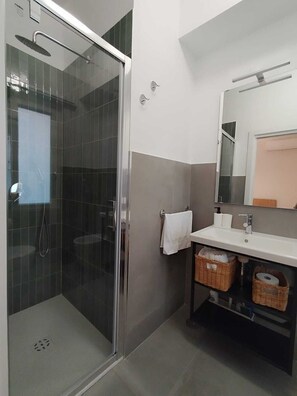 Shower, hair dryer, bidet, towels