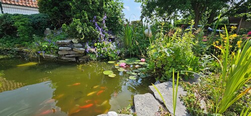 Find tranquility and peace in this charming cottage in Lapscheure - Damme.