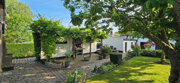 A garden with a paved walkway, a white building, and a tree with green leaves.