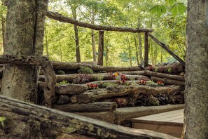 Property grounds - Beautiful 2-bedroom cabin near Sparta and the Blue Ridge Parkway (Sparta)