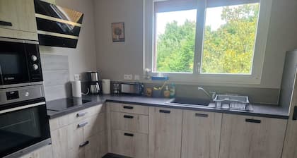 Comfortable gîte with spa and billiards near Beauval zoo